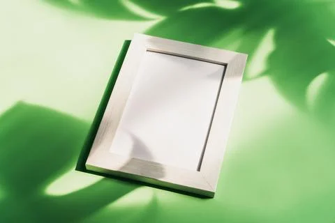 Empty picture frame with shadow of tropical green leave on color background w Stock-Fotos