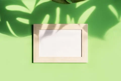 Empty picture frame with shadow of tropical green leave on color background.. Stock Photos
