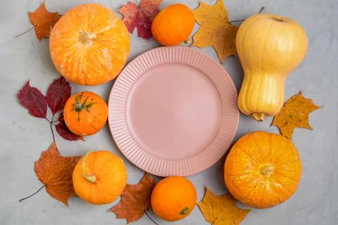 Empty pink plate surrounded by ripe little pumpkins and autumn leaves Stock Photos