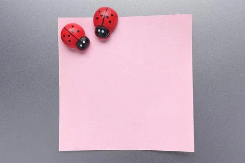 Empty pink sticker with Ladybug shaped magnet on refrigerator door. copy space  Stock Photos