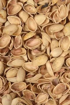 Empty pistachio nutshells background texture. Stock Photos