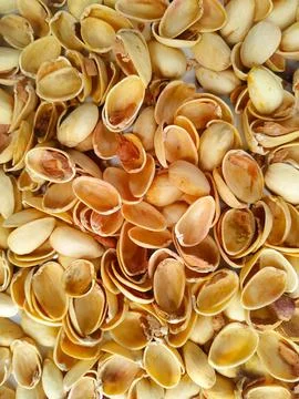 Empty pistachio shells background Fotos de archivo