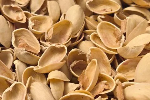 Empty Pistachio Shells Macro View for Natural Texture and Background Design Stock Photos