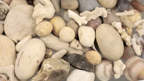 The empty pistol shells fall Stock Footage 113823455