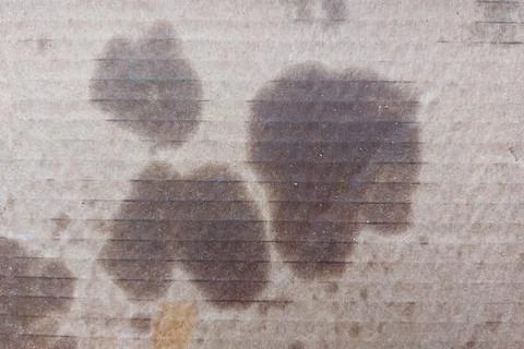 Empty pizza box. Dirty, greasy box. Stock Photos