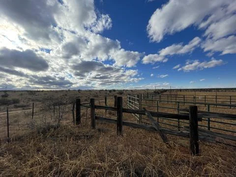 Empty Plains Stock Photos