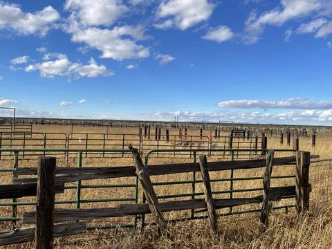 Empty Plains Stock Photos