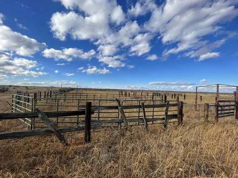 Empty Plains Stock Photos