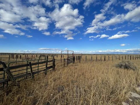 Empty Plains Stock Photos