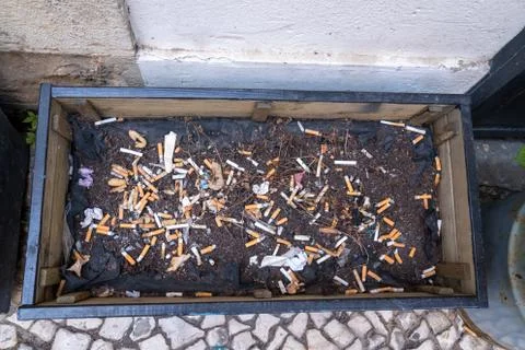 Empty plant pot filled with and soil and piles of cigarette butts Stock Photos