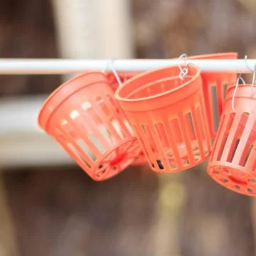 Empty plastic basket Stock Photos