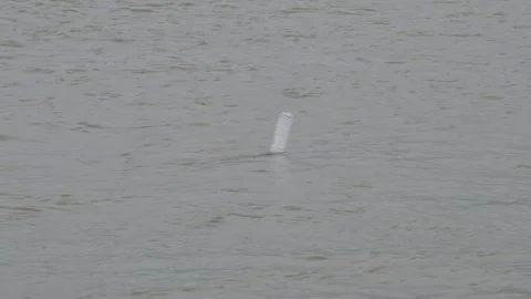 An empty plastic bottle is floating on the body of the water Stock-Footage 316233656