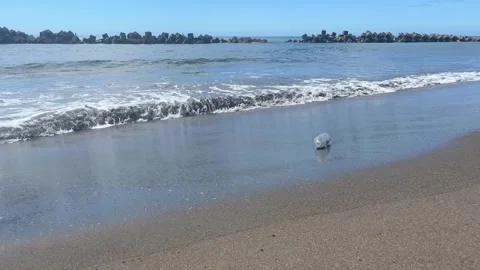 Empty plastic bottle floating onto a sandy beach Stock Footage 247897066