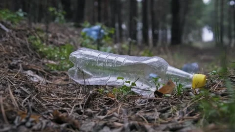 Empty Plastic Bottle Polluting Green Forest Floor Stock Footage 323259532