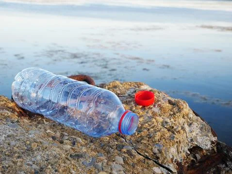 Empty plastic bottle thrown on a rock at the edge of the pond Stock Photos