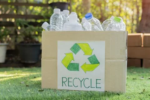 Empty plastic bottles for recycling in a cardboard box in a park setting on.. Stock Photos