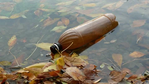 Empty plastic bottles in the river in autumn day. sea and water pollution con 스톡 동영상 203778498
