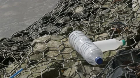 Empty plastic bottles, a waste and pollution on local port gabion Stock Footage 137076648