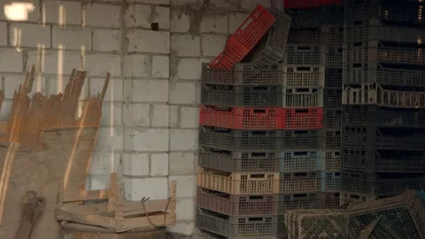 Empty plastic crates standing in the warehouse Stock Footage 152528157
