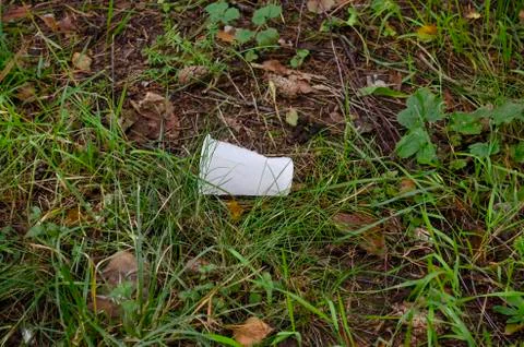Empty plastic cup in the form of garbage in the forest thrown by man. The con Stock Photos