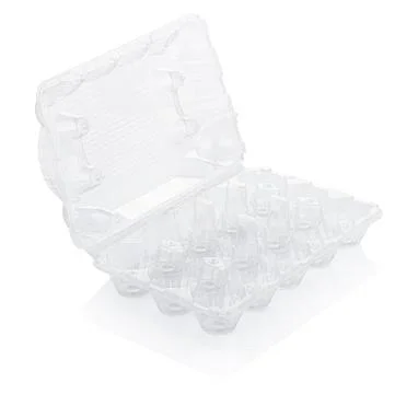 Empty plastic egg box Foto stock