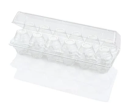 Empty plastic egg box Stock Photos