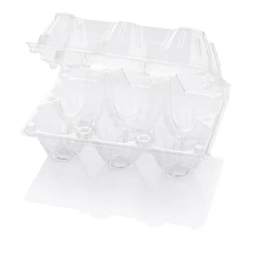 Empty plastic egg box Stock Photos