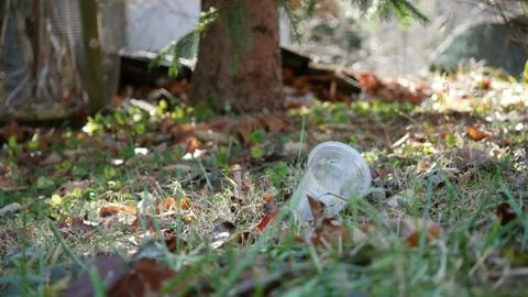 Empty plastic McDonald's cup left as waste in a forest. Foto stock