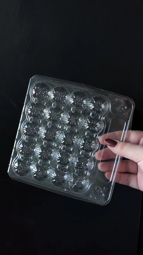Empty plastic transparent tray for quail eggs in hand on black background Stock-Footage 332409926