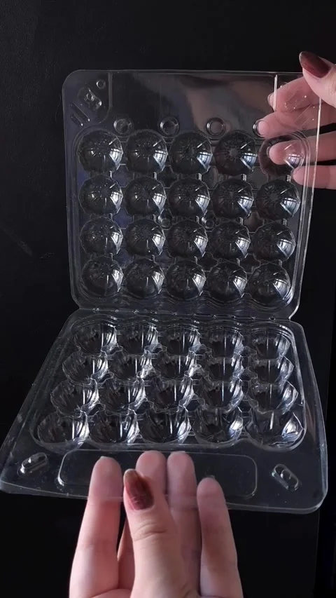 Empty plastic transparent tray for quail eggs in hand on black background Video stock 332409949
