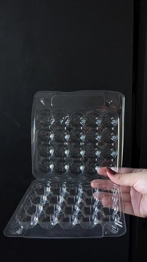 Empty plastic transparent tray for quail eggs in hand on black background Video stock 332409955