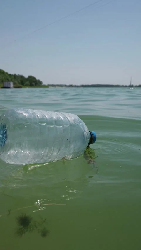 Empty Plastic Water Bottle Floating in Polluted Green Lake Water Stock Footage 341986119