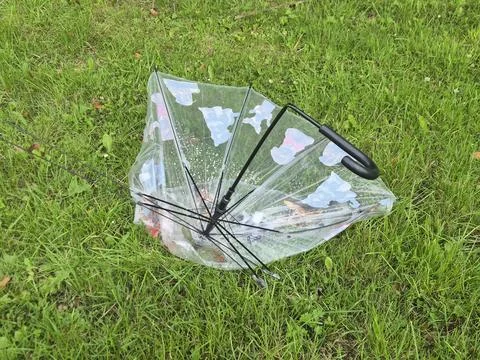Empty plastic wheelbarrow in grass after garden cleanup Stock Photos