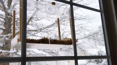 Empty plastic window feeder during snowy winter mounted to glass Stock Footage 104562159