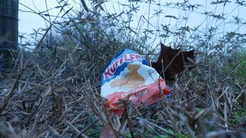 Empty plastic wrapping package of Ruffles chips left as waste on a grassy field. Foto stock