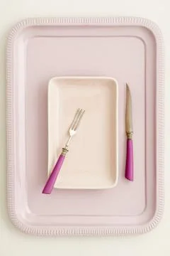 Empty plate and tray Stock Photos