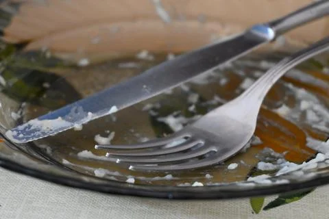 Empty plate with knife and fork after a meal 스톡 사진
