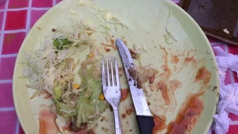 Empty plate with leftover salad and silverware Stock Footage 336229614