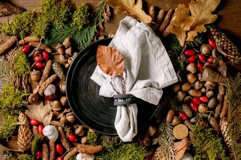 Empty plate over ambiance magic autumnal forest background Stock Photos