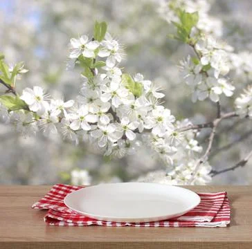 Empty plate on a spring background Stock-Fotos