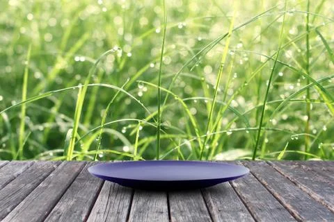 Empty plate on wood table Stock Photos