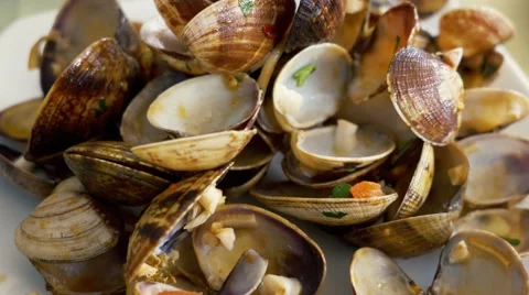 Empty plates after lunch at restaurant. Handheld shot. 4K Stock Footage 49711982