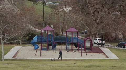 Empty Playground After Rain Covid 19 Coronavirus Lockdown Quarantine Dog Stock Footage 147592513