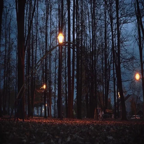 Empty playground at the evening. Stock Footage 69322717