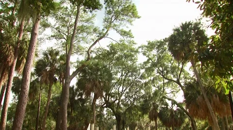 Empty playground in park Stock Footage 54592908