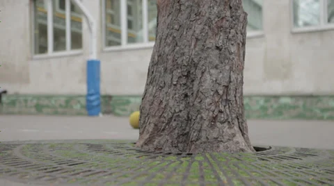 EMPTY PLAYGROUND - SLIDER Stock Footage 28053639