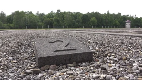 Empty plot of demolished building in Dachau 4k Vídeos de archivo 77844211