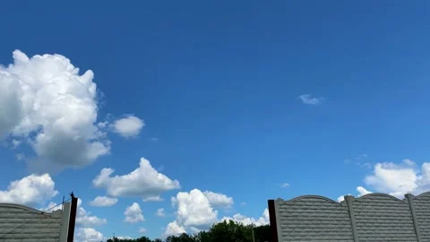 Empty plot of land on countryside close to forest, new home and life concept 4k  Stock Footage 155621759