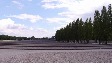 Empty plots where buildings once stood at Dachau 4k 스톡 동영상 97856501