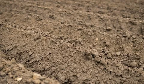 Empty plowed field at the beginning of spring season Stock Photos